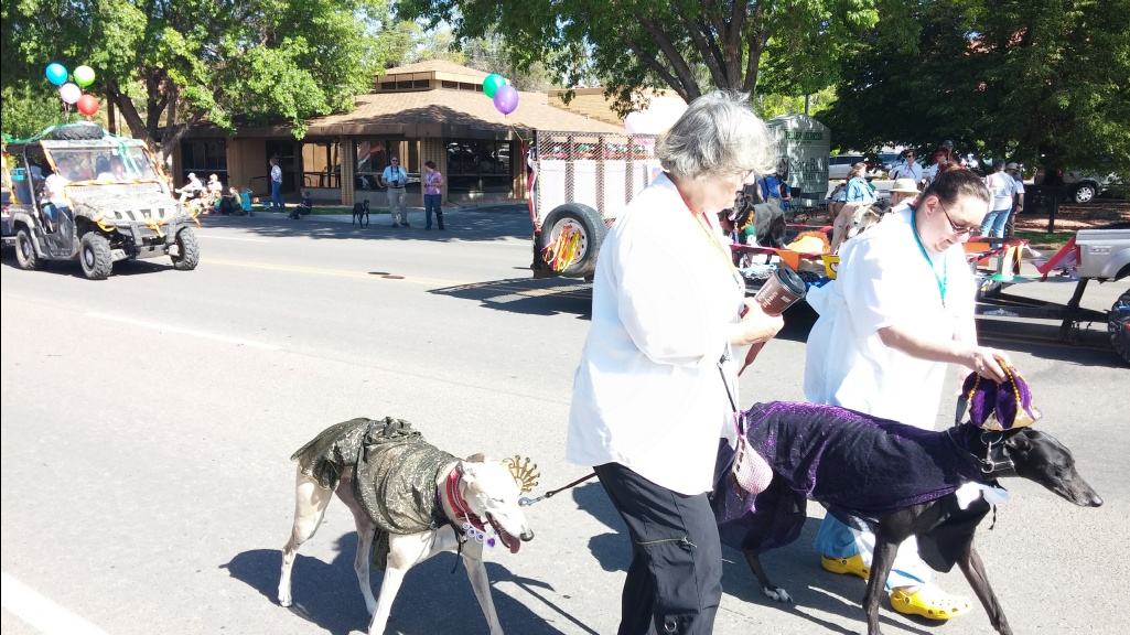 0537-Kanab_Greyhound_Parade-2014