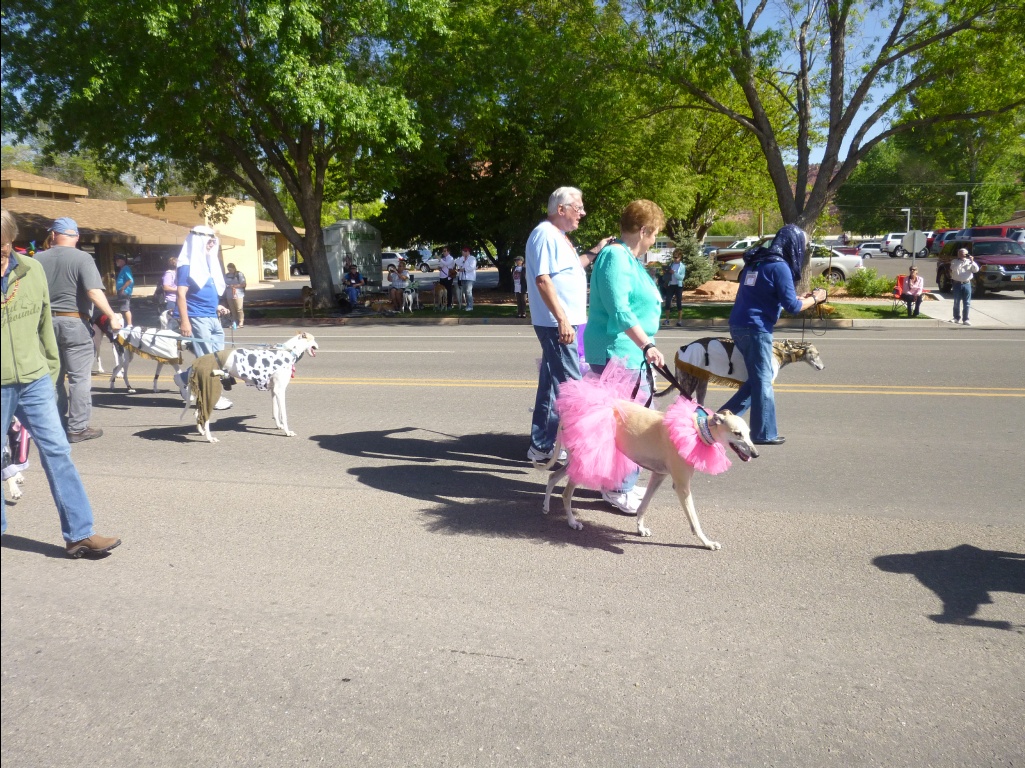 0560-Kanab_Greyhound_Parade-2014