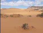 0625-Coral_Pink_Sand_Dunes-2014