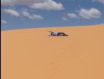 0640-Coral_Pink_Sand_Dunes-2014