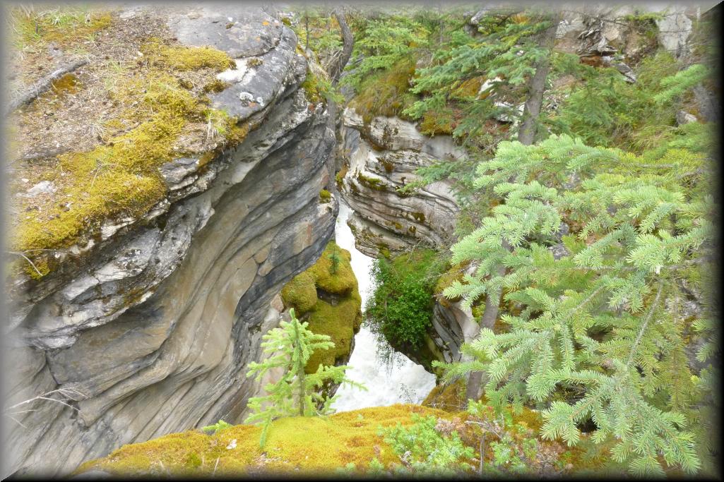 1145-Athabasca_Falls