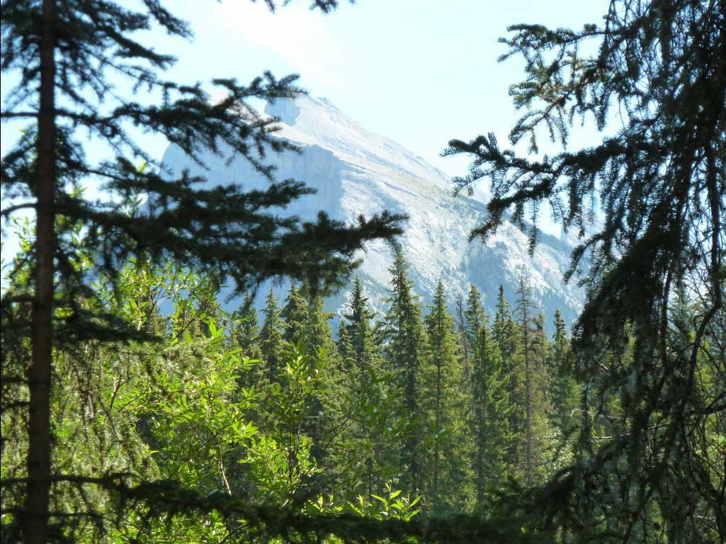 9425-Banff-Canada-2015