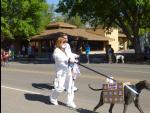 0535-Kanab_Greyhound_Parade-2014